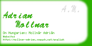 adrian mollnar business card